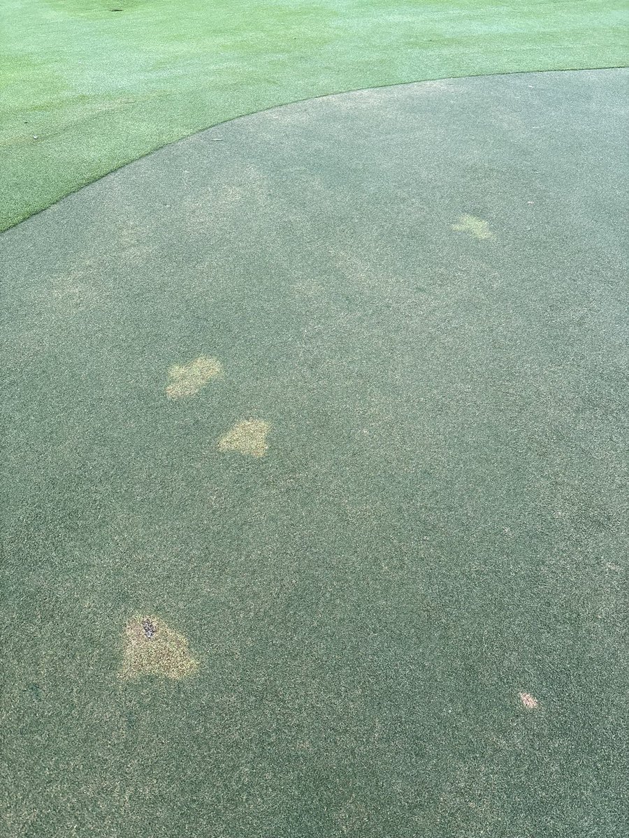 Josh Fleisher tweet media