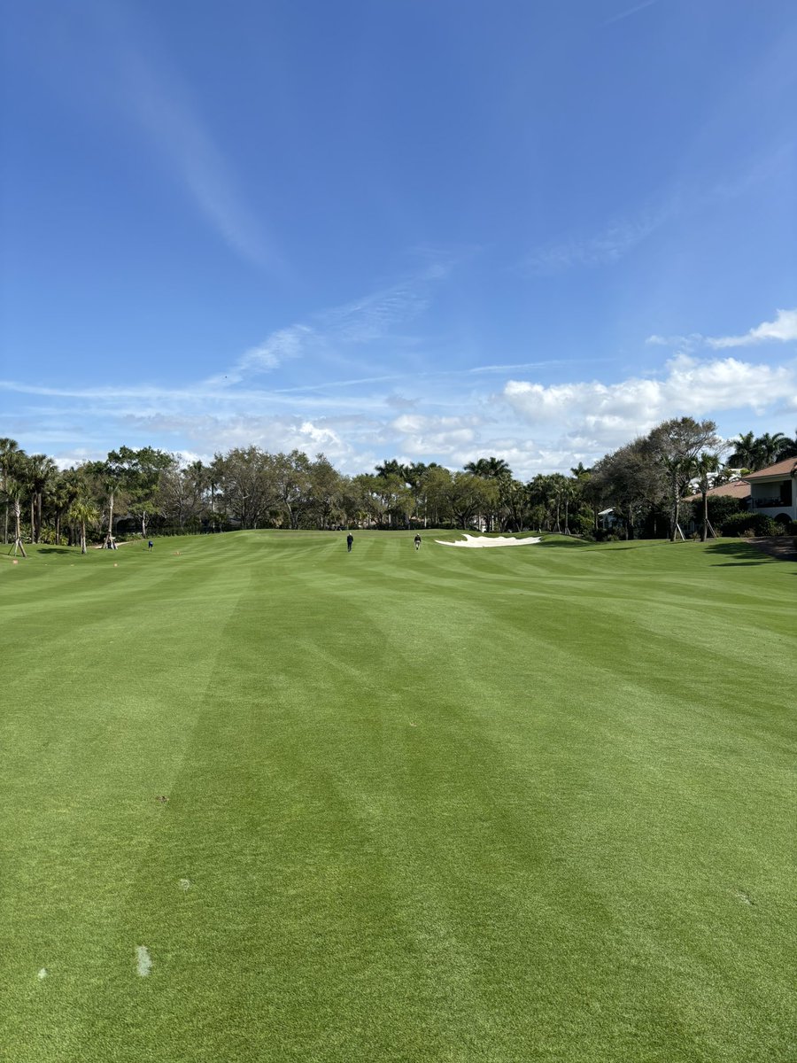 Josh Fleisher tweet media