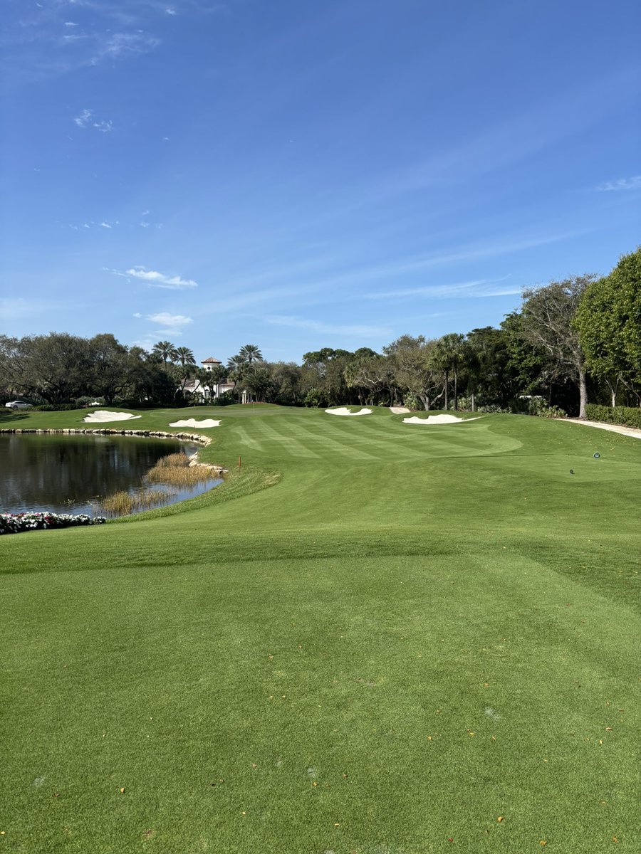 Josh Fleisher tweet media