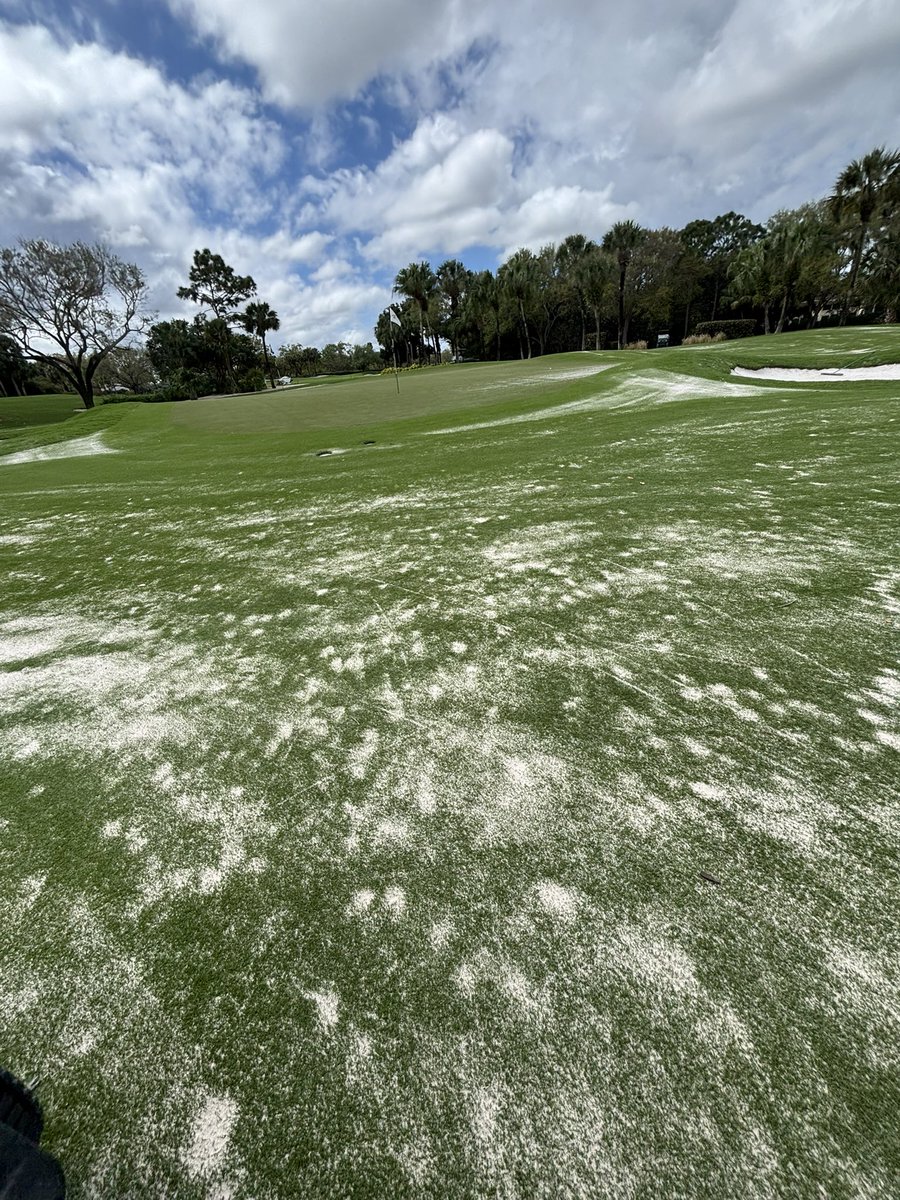 Josh Fleisher tweet media