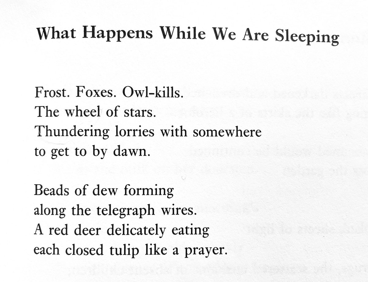 Esther Morgan <a href="/BloodaxeBooks/">Bloodaxe Books</a>: