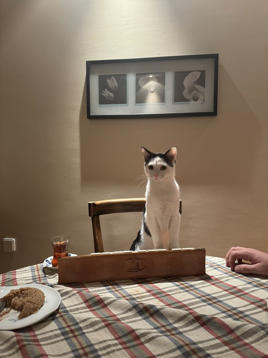 İşlek attık diye gerildi. Nolmuş beyefendi nolmuş??