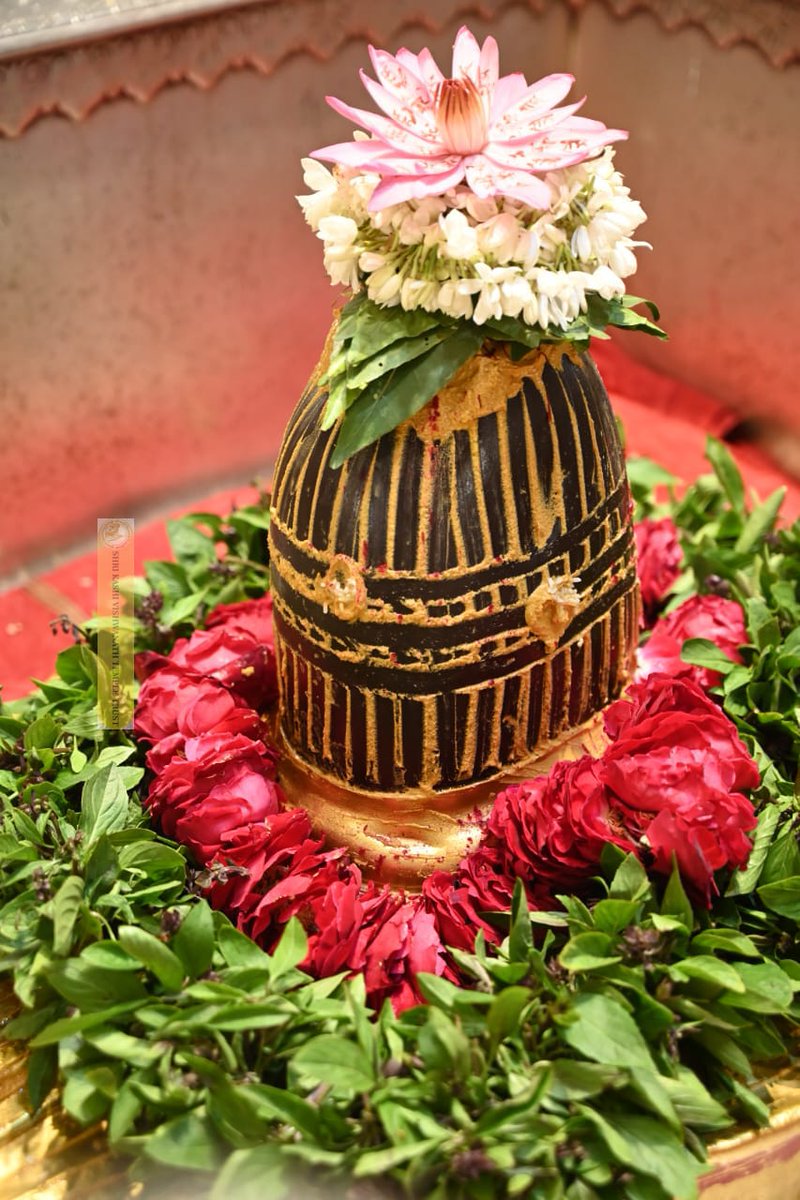 ShriVishwanath's tweet photo. आज श्री काशी विश्वनाथ जी की श्रृंगार आरती, 🙏
#kashi #VishwanathDham #sanatandharma #devotion #darshan https://t.co/VgBc7AqqHK
