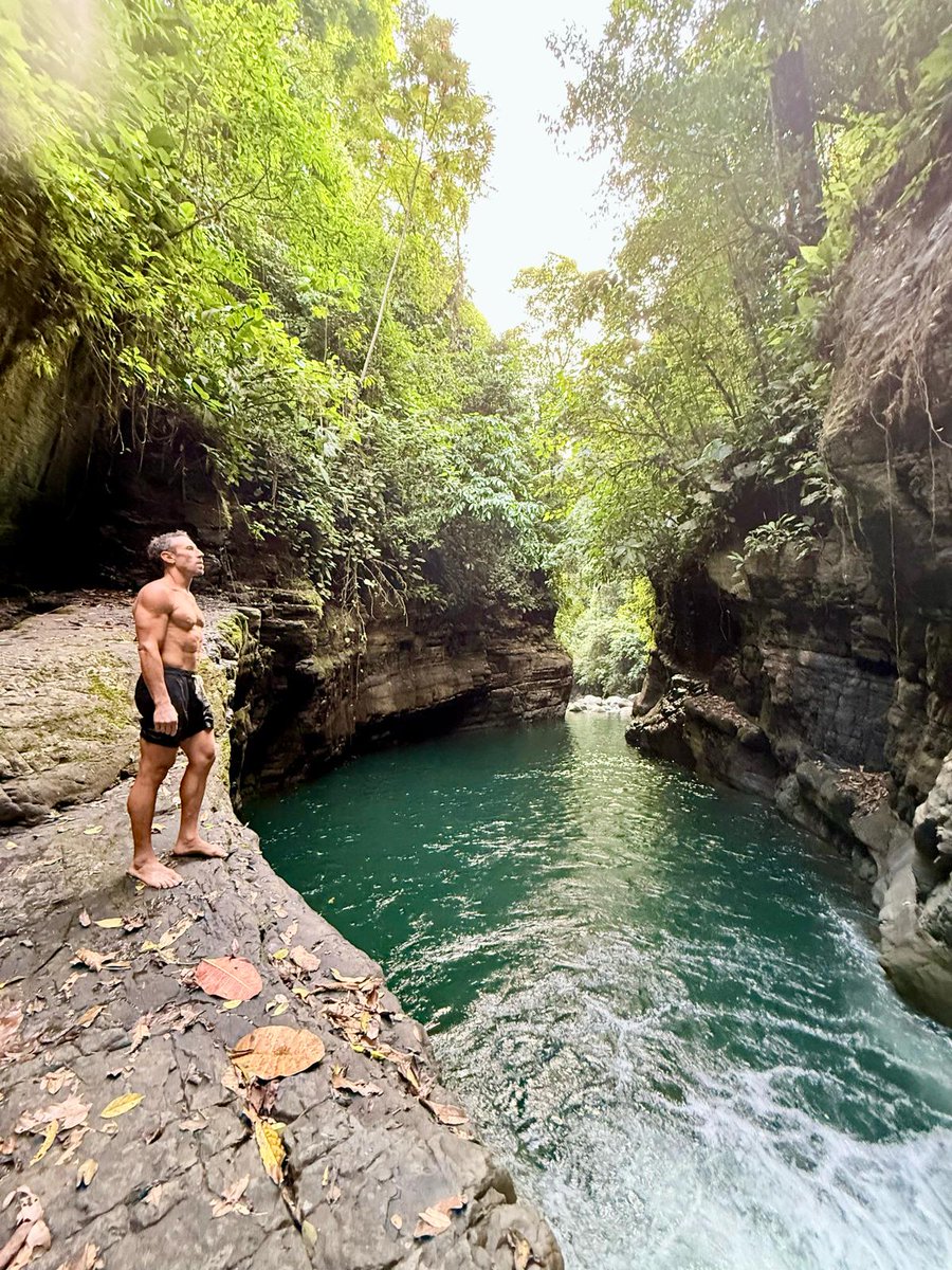 Paul Saladino, MD tweet media