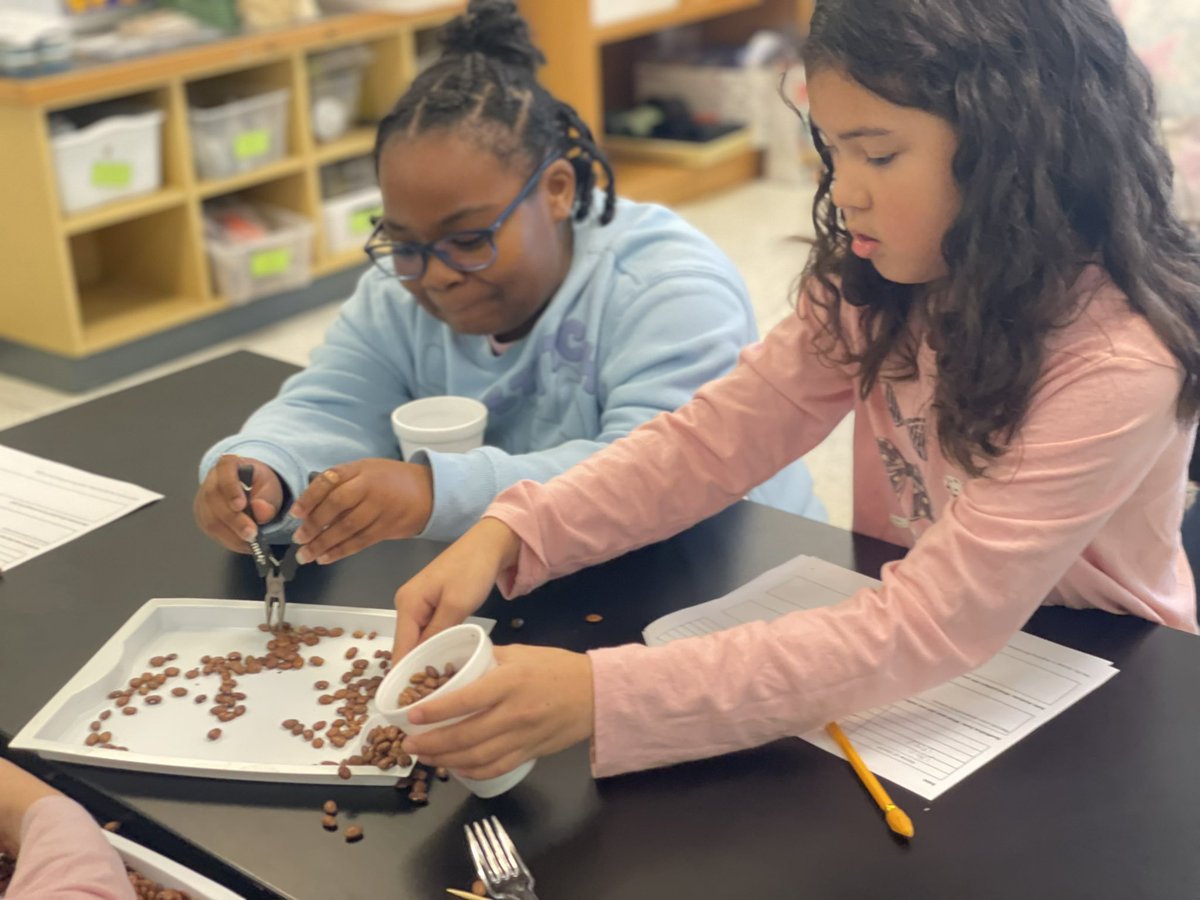 Hermitage VB Library (@vbhermitagelmc) on Twitter photo 🌟🐦 What an exciting day in the STEM lab! Our third graders explored adaptations by mimicking bird beaks with skewers, forks, spoons, and pliers. 🥄🔍 Great teamwork and creativity all around! 🌱💚 <a href="/vbschools/">VBSchools</a> <a href="/DavidSchleck/">David Schleck</a> <a href="/cwhinsch/">Charlie Hinsch</a> 🌟🐦 What an exciting day in the STEM lab! Our third graders explored adaptations by mimicking bird beaks with skewers, forks, spoons, and pliers. 🥄🔍 Great teamwork and creativity all around! 🌱💚 <a href="/vbschools/">VBSchools</a> <a href="/DavidSchleck/">David Schleck</a> <a href="/cwhinsch/">Charlie Hinsch</a>
