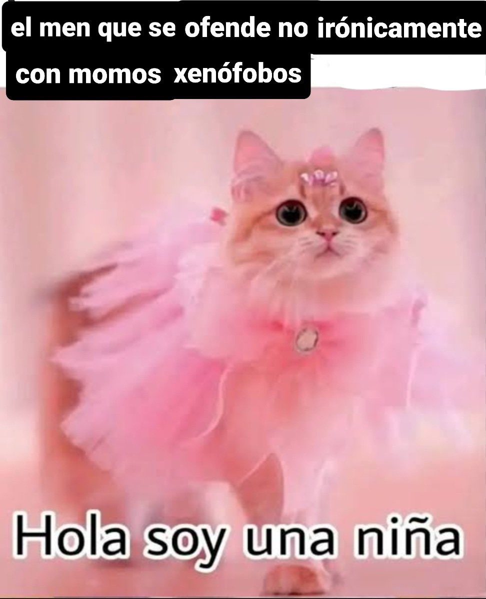 Prietos Posteando tweet media