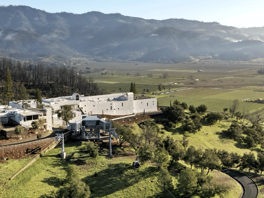 The first Genmo offsite of 2025 ✅ 

We brought the team together for an incredible three-day retreat in Calistoga! From exploring a beautiful winery and enjoying amazing dinners to board games and relaxing spas, it was the perfect way to unwind and reflect on our goals for this