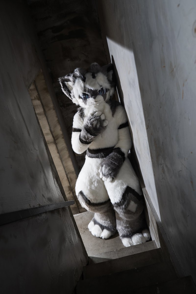 toccata2500's tweet photo. You waited for Me.. Thank you!

#fursuit #FursuitEveryday https://t.co/2c8VbTLPQ6