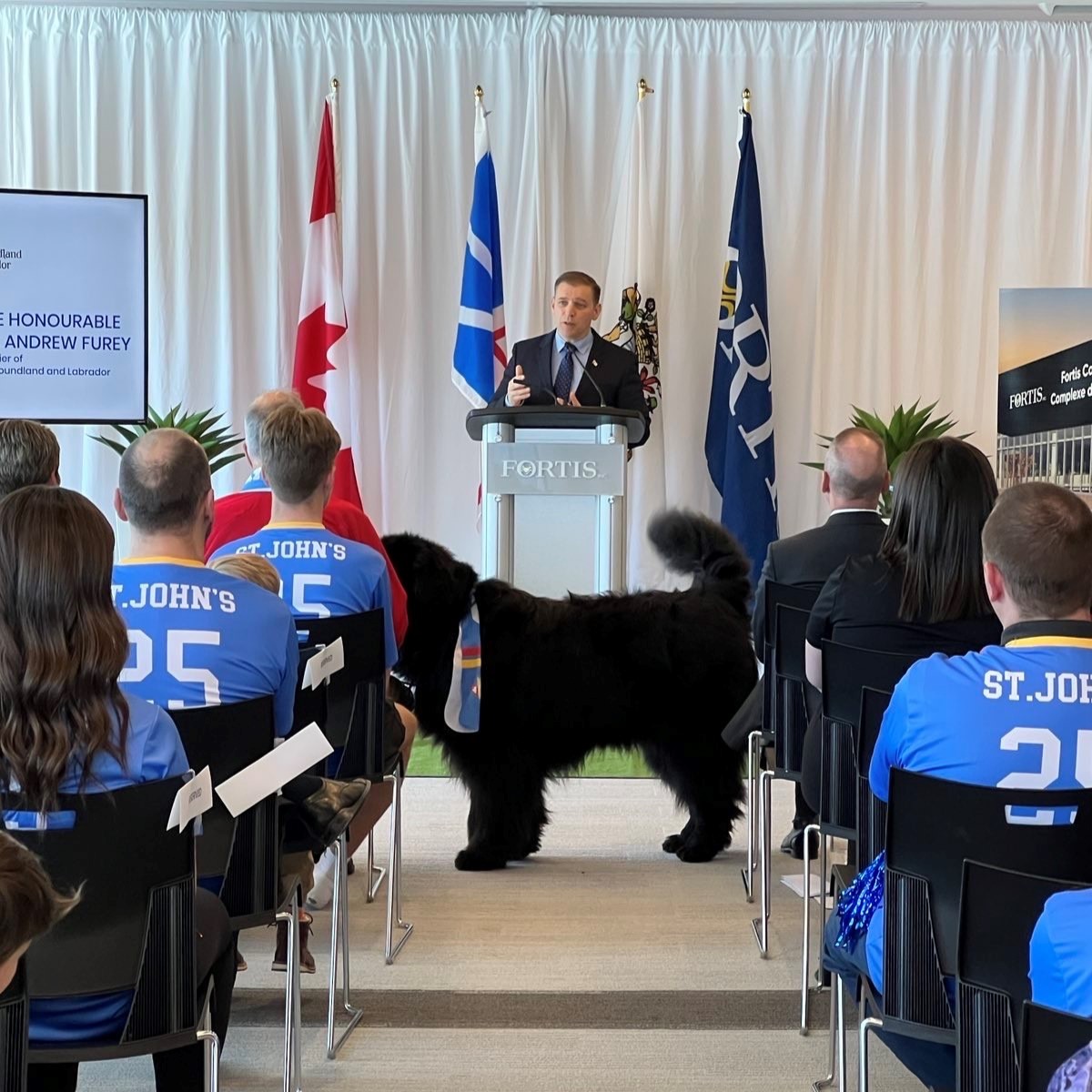 Fortis Inc. (@fortis_na) on Twitter photo On behalf of our team, we want to thank <a href="/PremierofNL/">Premier of NL</a> <a href="/FureyAndrew/">Andrew Furey</a> for his leadership in Newfoundland and Labrador over the past 5 years. Your commitment to the energy sector and beyond is a testament to your good work. Dedication to public service is challenging, but you On behalf of our team, we want to thank <a href="/PremierofNL/">Premier of NL</a> <a href="/FureyAndrew/">Andrew Furey</a> for his leadership in Newfoundland and Labrador over the past 5 years. Your commitment to the energy sector and beyond is a testament to your good work. Dedication to public service is challenging, but you