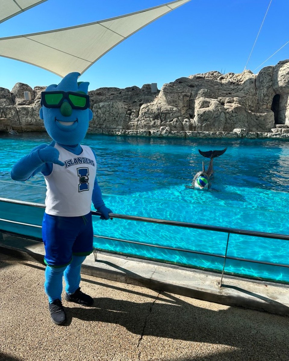 Happy Homecoming, Islanders! 💙💚 The Texas State Aquarium is celebrating this Bluesday Tuesday by painting our feed blue just for you! 🎉 Wishing you luck in all your activities and festivities. When you're ready for a break, come celebrate with us! 🎟️⚓<a href="/IslandCampus/">Texas A&M-Corpus Christi</a>