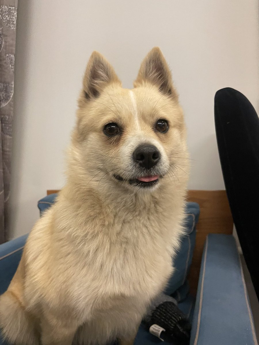 Ailem olacak şanslı kişileri bekliyorummmm