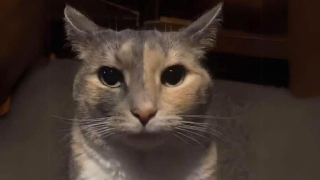 female__monster's tweet image. cómo que fue masivo el corte de luz en Chile????