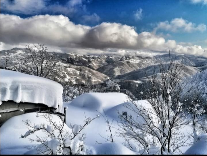 KASTAMONU/KÜRE /ÇAYBÜKÜ KÖYÜ YAYLA’DAN KARTOSTALLIK GÖRÜNTÜLER 

Fotoğraf: Soner Demirel