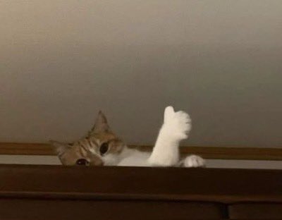 James Espinoza (@jamesespinozaa) on Twitter photo 