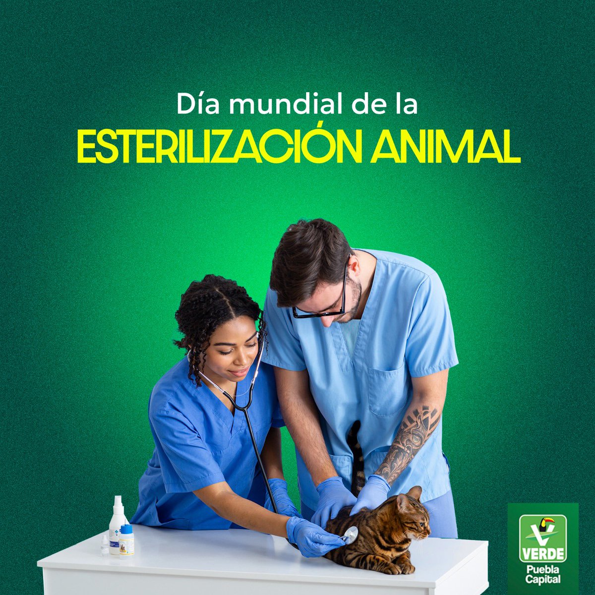 Todos los años son abandonados en las calles millones de perros y gatos, demos fin con el abandono y el maltrato animal, esterilizando a nuestros amigos de cuatro patas.🐱🐶

Día Mundial de la Esterilización Animal. 🌎💚🐾