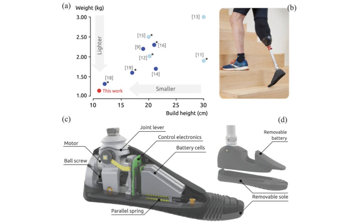 IeeeTro's tweet image. A lightweight active ankle #prosthesis with graceful degradation capabilities, validated through extensive trials with trans-tibial and trans-femoral amputees, achieving reduced encumbrance while maintaining safety through passive fallback. #Biomechanics
ieeexplore.ieee.org/document/10770…