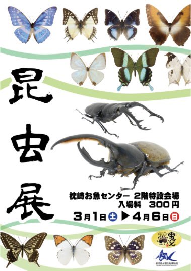 【本日の営業時間】

♦︎2月26日（水）午前10時〜18時

いよいよ来月1日から枕崎お魚センター2階特設会場にて昆虫展始まります‼️
ご来場頂いたお客様には最初の3日間先着20名様に"カブトムシ幼虫（計60匹）"をプレゼント🎁‼️是非遊びに来て下さい😁

#枕崎お魚センター
#虫どん
#昆虫展