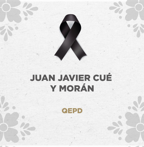 Olivia Salomón tweet media