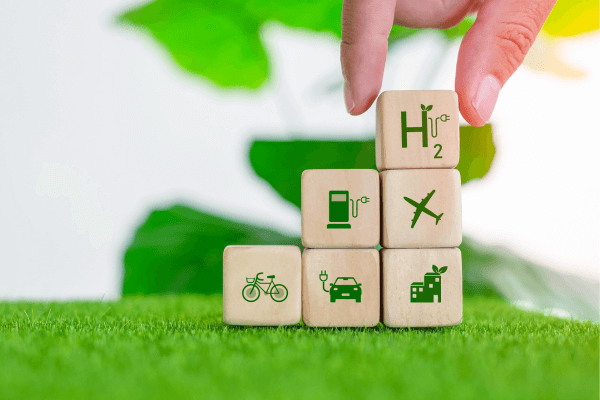 Catorce 6 tweet media