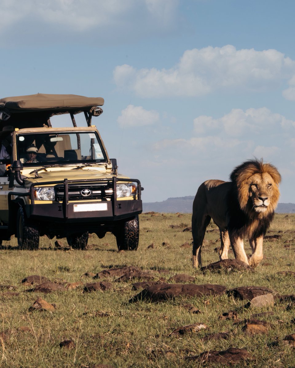 Kempinski Hotels tweet media