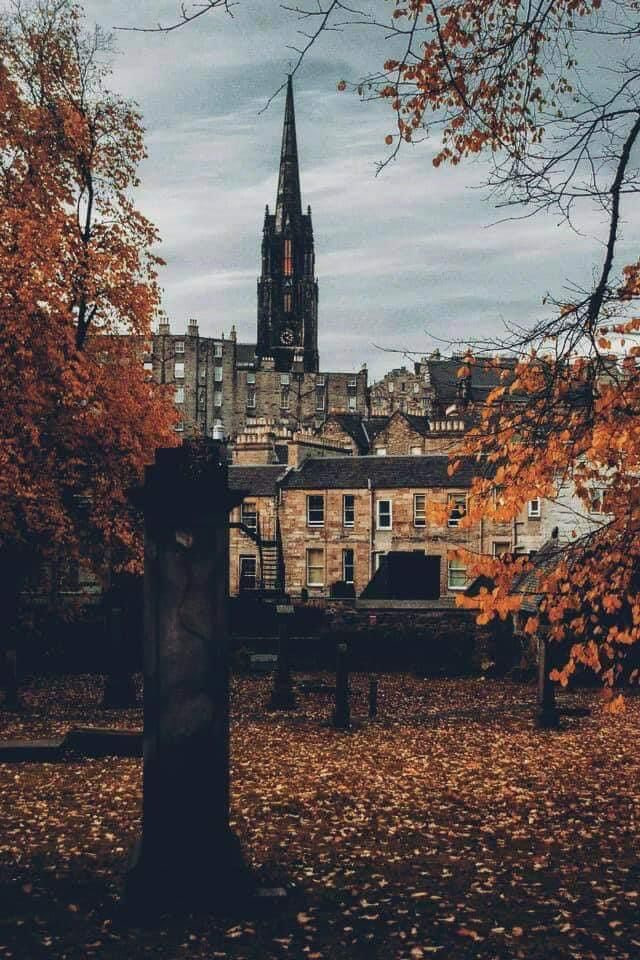 kingbrain's tweet image. 