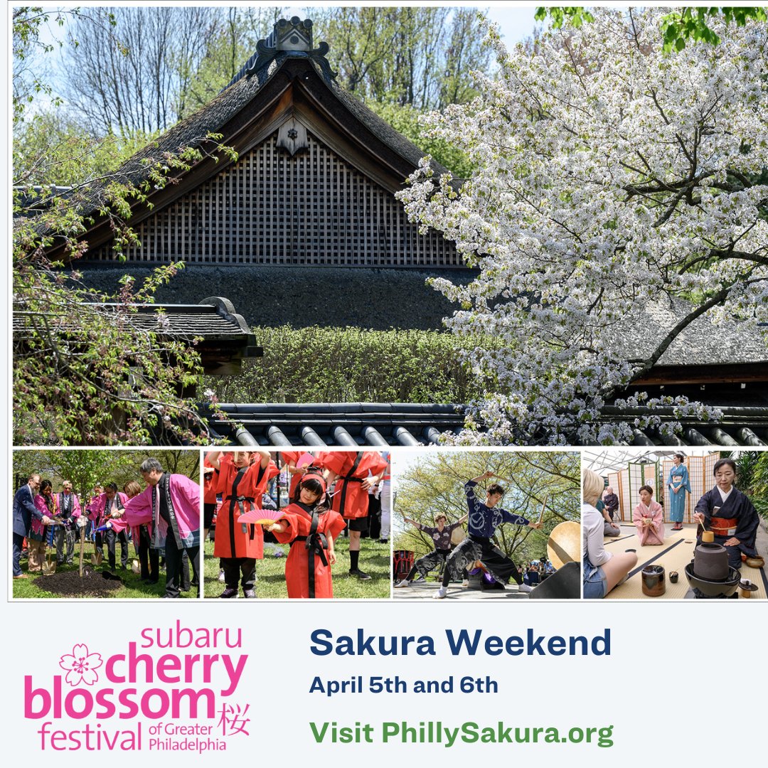 Subaru Cherry Blossom Festival tweet media