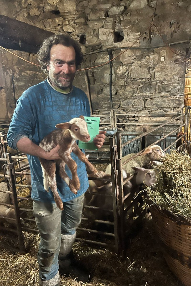 Ja el tenim imprès! 😁
Agraïments: a tota la gent pencaire que segueix dallant les nostres closes de muntanya, al nostre petit escorxador, a les carnisseries i restaurants que segueixen apostant pel segell de qualitat que és la ramaderia tradicional, al consumidor.
#ViscaLaRoda!