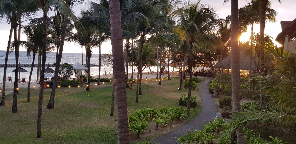 gute Nacht Ihr Lieben