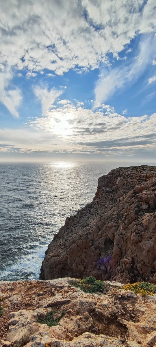 "La mente que se abre a una nueva idea , jamás volverá a su tamaño original"