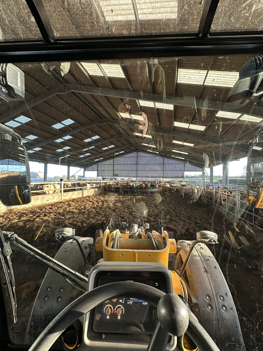 Another couple hundred tonnes of carbon magnet out the sheds 💩