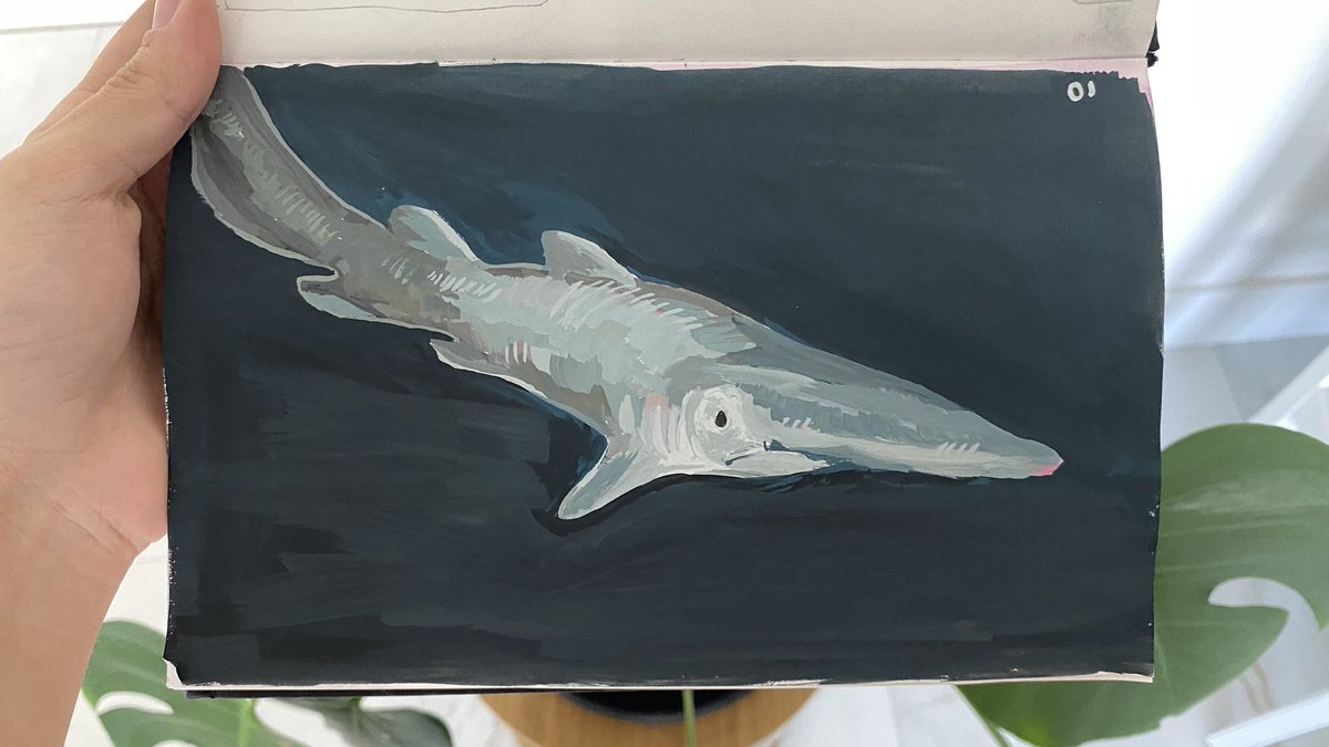 aobinha's tweet photo. fish of the day: day 01 
goblin shark https://t.co/qFKsduQJsu