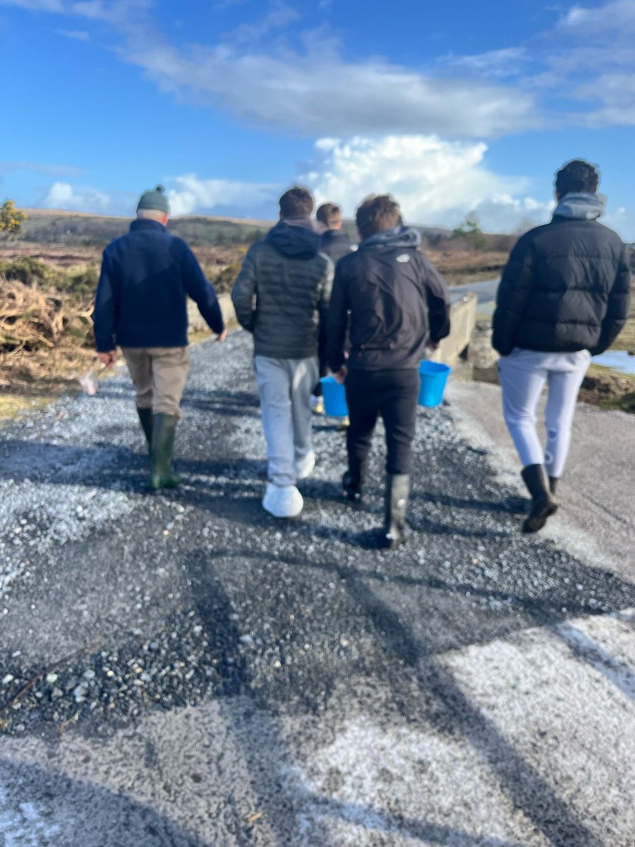 Coláiste Iognáid SJ tweet media