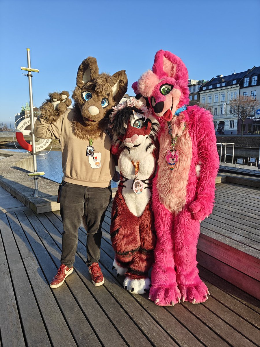 💙🐭 MiesdoCreations 🐭💙 tweet media