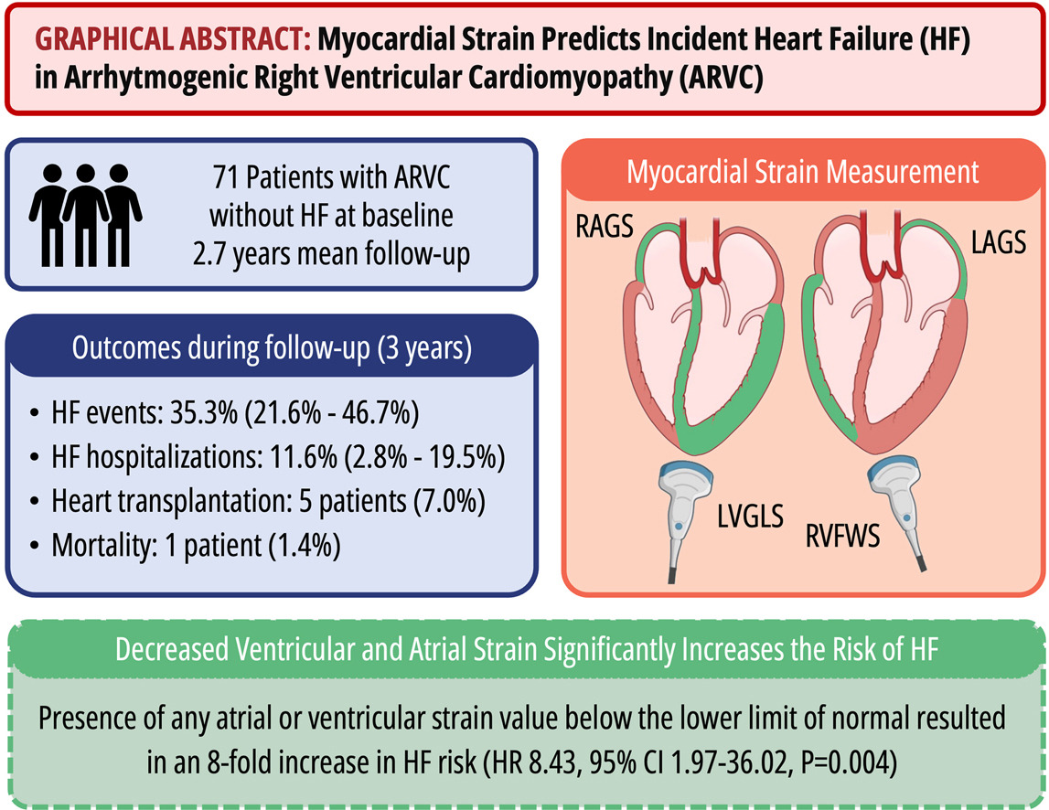🫀 A new clinical study in #CJC demonstrates that speckle tracking #echocardiography can detect myocardial strain abnormalities predicting heart failure in arrhythmogenic right ventricular #cardiomyopathy patients, aiding risk stratification and treatment decisions. Read more ⬇️