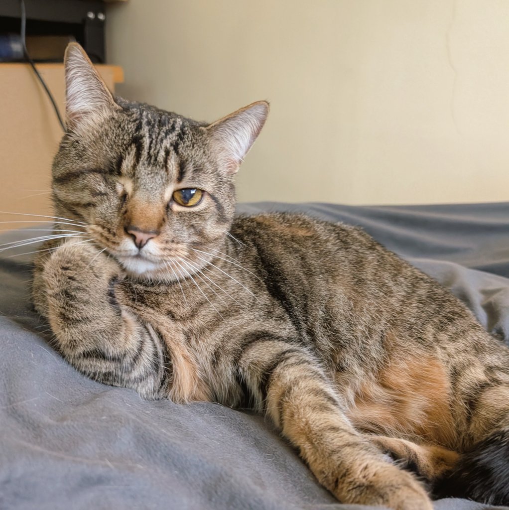 Nutritional Yeast Infection 🌱 tweet media