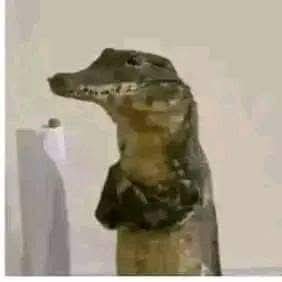 JonathanStark27's tweet image. Recuerden amiguitos jamás molesten a una mujer cuando está comiendo