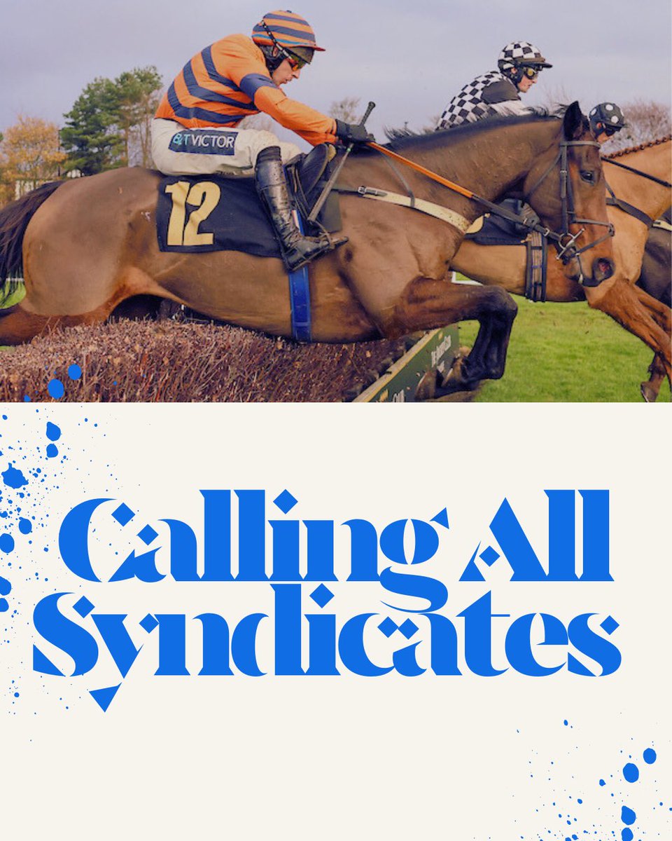 CarlisleRaces's tweet photo. 📢 Sunday, March 9th is our RSA syndicate Raceday, and we will have designated spaces available for any syndicates who wish to showcase the packages they have available. 📢 

📧 Email Ruathy.Murray@thejockeyclub.co.uk to get involved. https://t.co/w05HqRCVfD