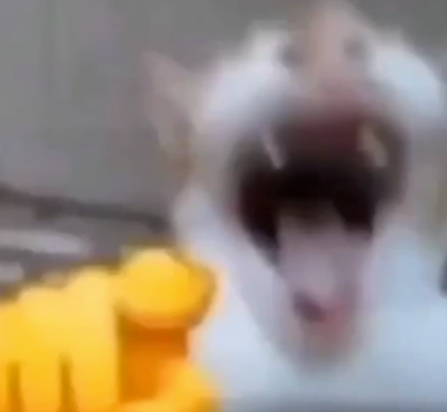 gloryboy tweet media