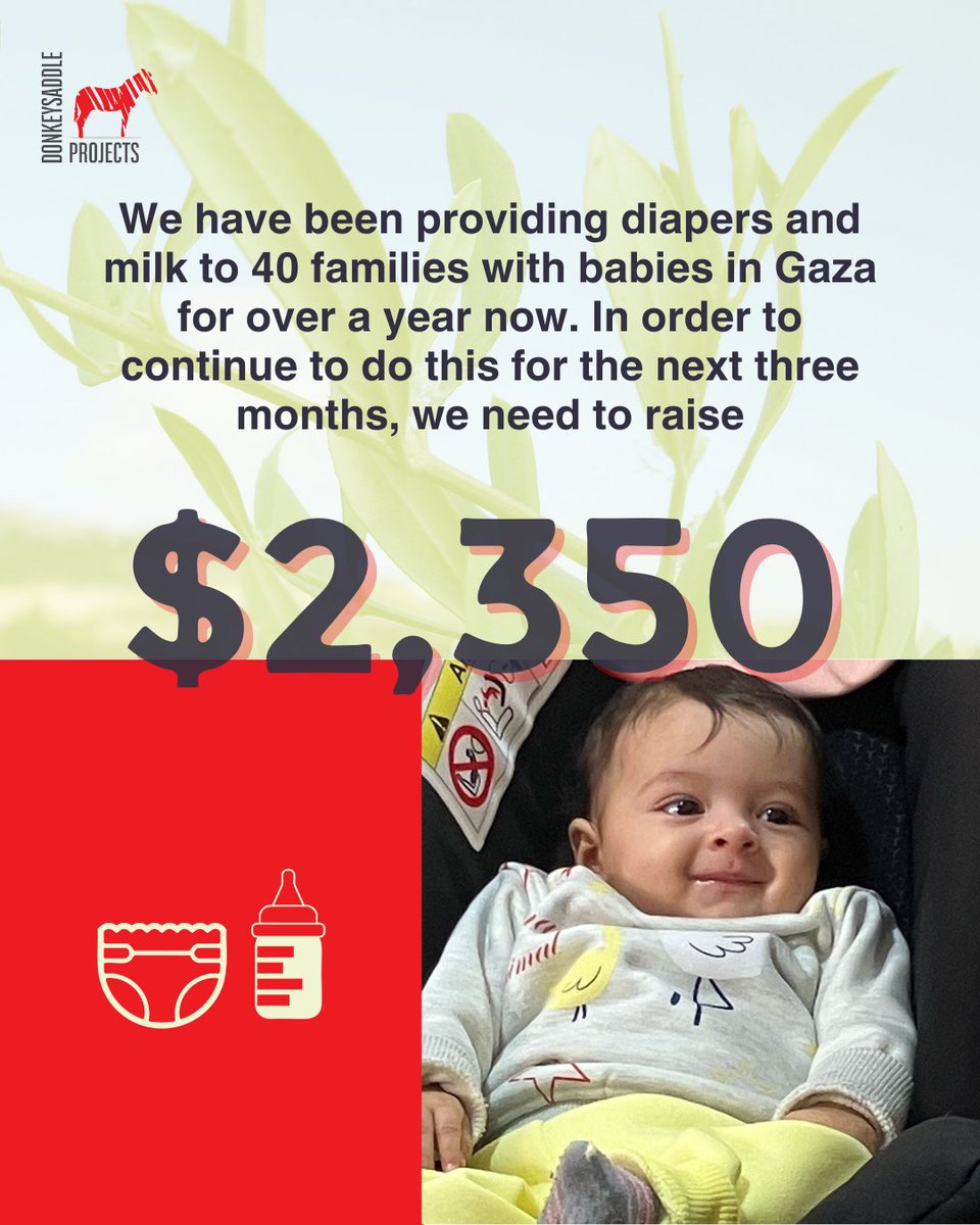 For over a year, DSP has been providing milk and diapers to 40 families with babies in Gaza. We need to raise $2350 more by the end of February in order to do this for the next 3 months. Can you donate to help us meet our goal? give-usa.keela.co/pgdp-donation-…