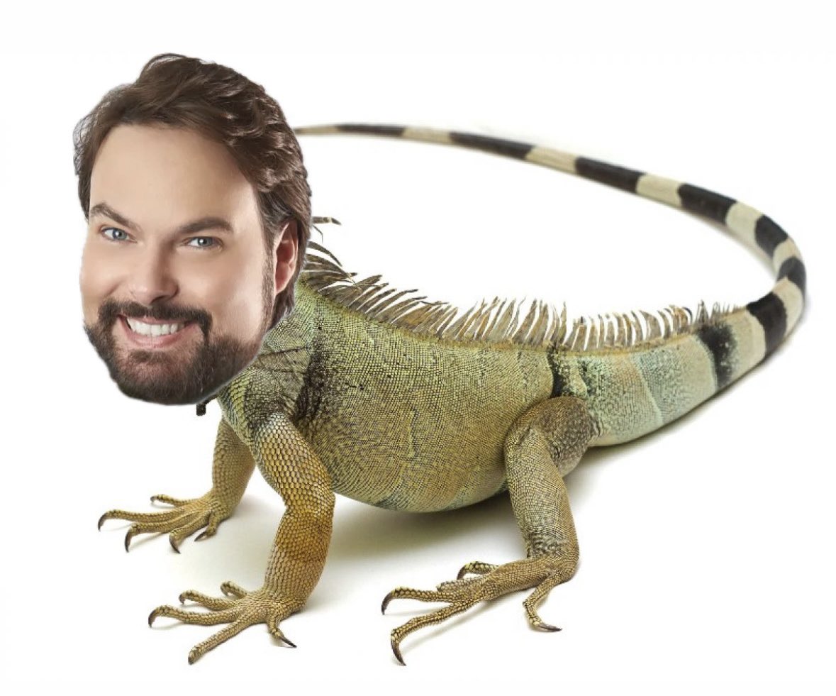 juanpecamara's tweet photo. La iguana que causó el apagón nacional en Chile: https://t.co/16g3AURXwC