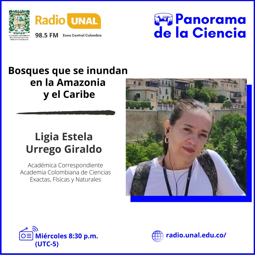 ¿Qué secretos esconden los bosques inundables de la Amazonía y el Caribe?

En #PanoramaDeLaCiencia, la Dra. Ligia Estela Urrego Giraldo nos revela cómo estos ecosistemas nos ayudan a entender el clima del pasado y predecir el futuro.

👂Escúchalo aquí: radio.unal.edu.co/detalle/bosque…