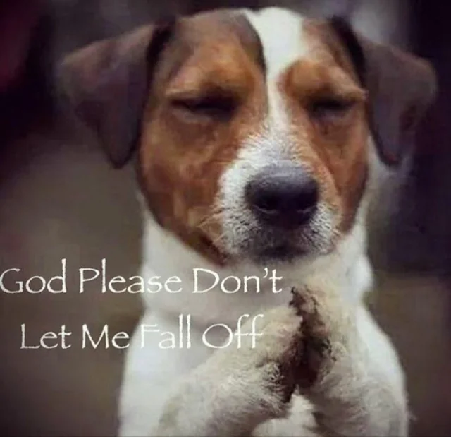 out of reach tweet media