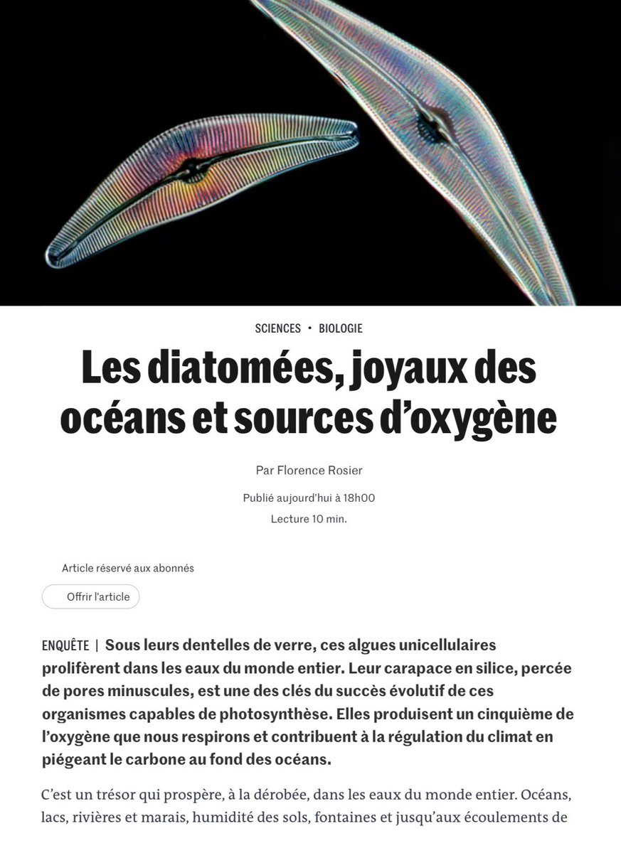 ChristianSardet's tweet photo. Dans Le Monde un bel article sur les diatomées avec nos photos de ces merveilles qui produisent un quart de l’oxygène sur la planète. Merci les diatomées….#plancton #diatomées #protistes #Oceanside https://t.co/OcxBiiVCDe