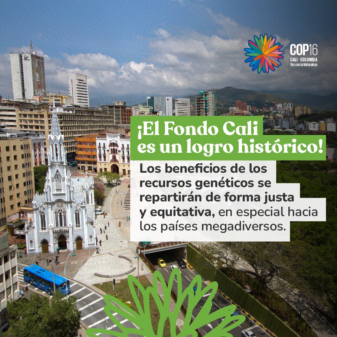 Con la financiación del sector privado, el Fondo Cali abre un nuevo camino para impulsar la conservación de la biodiversidad.

• 💼 Aporte Empresarial: las empresas que usan datos genéticos contribuirán con un porcentaje de sus ingresos, garantizando un reparto justo.

• 🌍