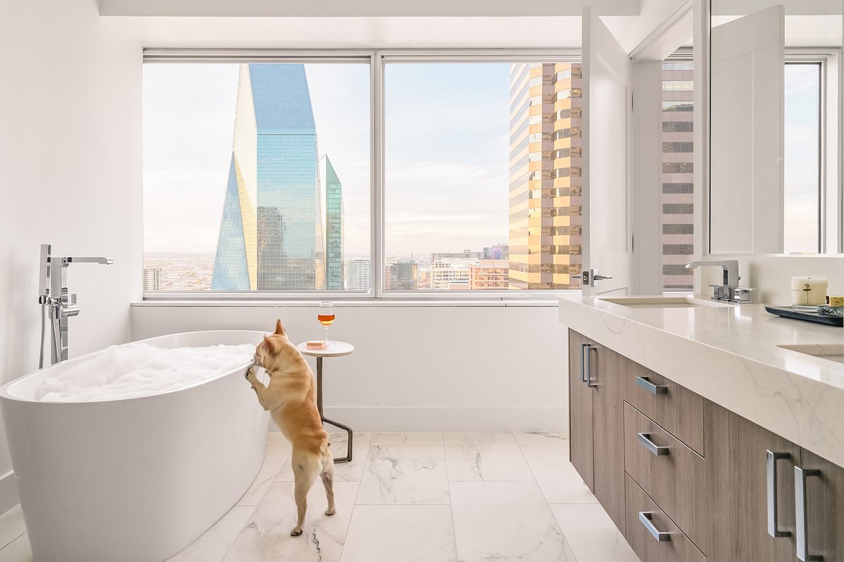 LiveDallasApts's tweet photo. 6 Weeks Free – Downtown Dallas High-Rise Apartments Now Leasing! 🛋
✨ Pet-friendly community
🏙 Stunning skyline views
🏠 Spacious floor plans
🔥 Resort-style amenities

#Dallas #dallasapartments #Realtor #luxury https://t.co/UT4tKAI4ug