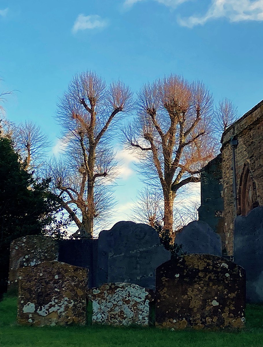 A lovely day today - just passing these on a walk up to the village! Hope you've all had a good day. 🥰💙☀️