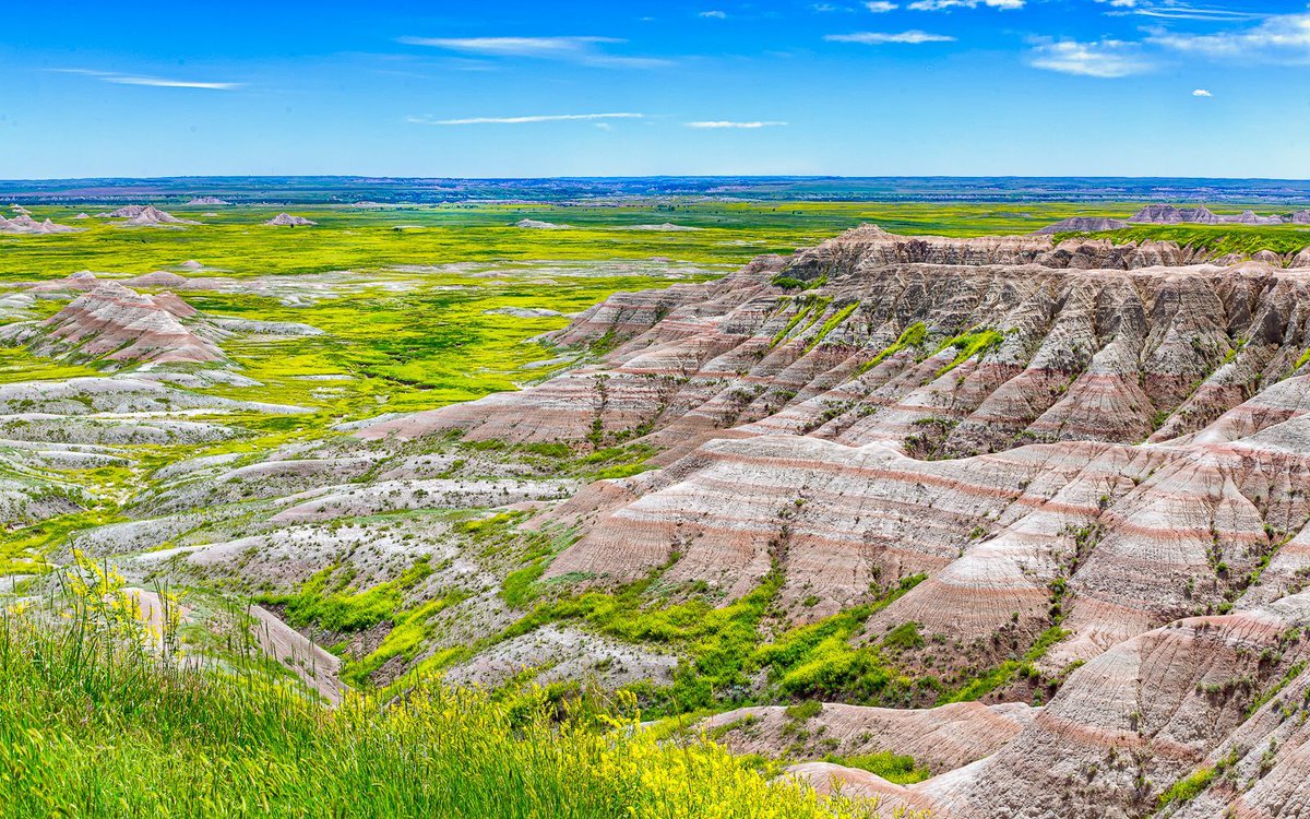 The Badlands in South Dakota have a special beauty all its own. Heavy Spring rains result in a wonderful combination of green foliage and the layering and colors of the Badlands. #badlands #travel #photography

pixels.com/featured/badla…
