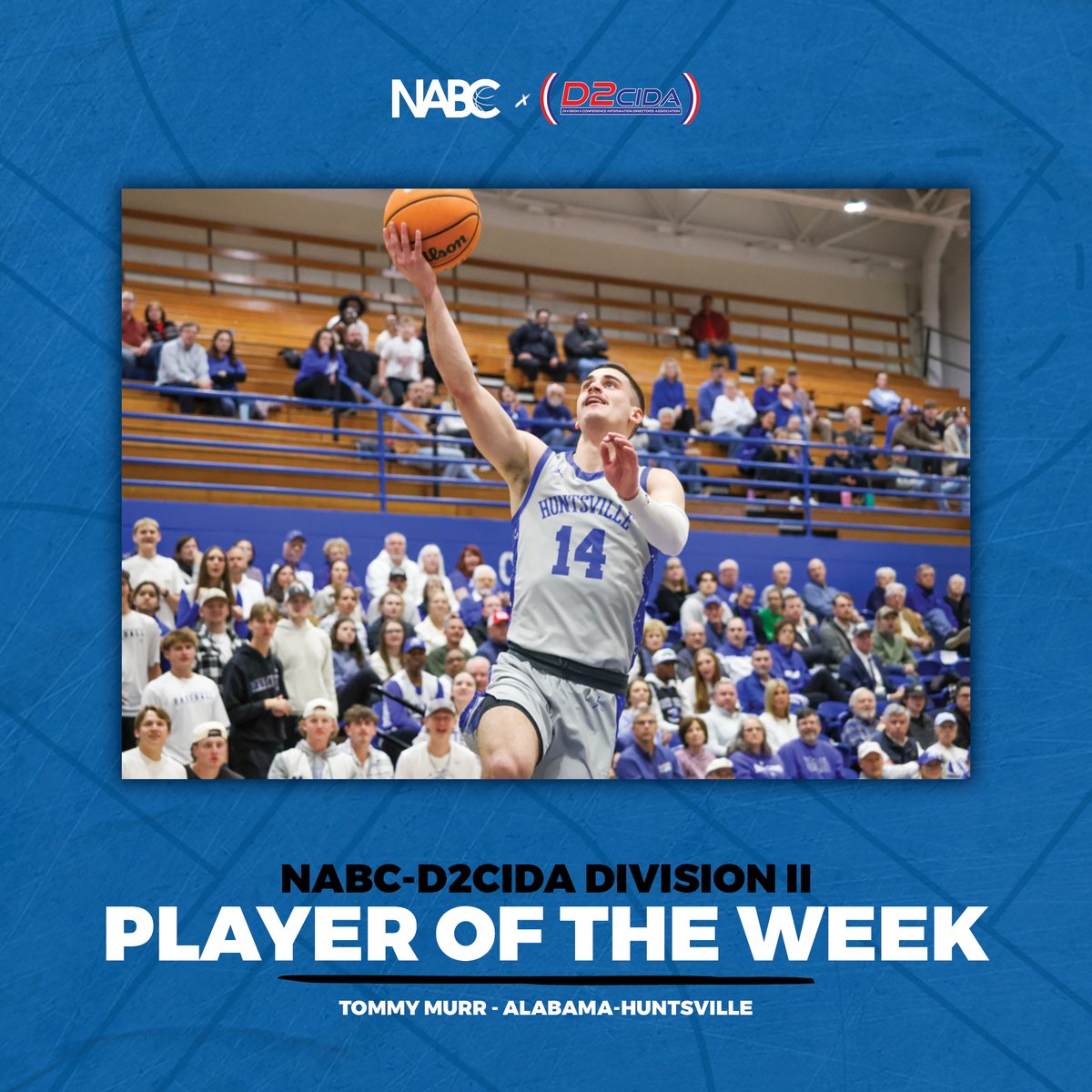 NABC (@nabc1927) on Twitter photo Announcing the NABC-D2CIDA Player of the Week
Tommy Murr had a monster week for <a href="/UAH_MBB/">UAH Men's Basketball</a>, averaging 37 points on 74% shooting along with 9 assists and 4 rebounds per game in two wins! Announcing the NABC-D2CIDA Player of the Week
Tommy Murr had a monster week for <a href="/UAH_MBB/">UAH Men's Basketball</a>, averaging 37 points on 74% shooting along with 9 assists and 4 rebounds per game in two wins!