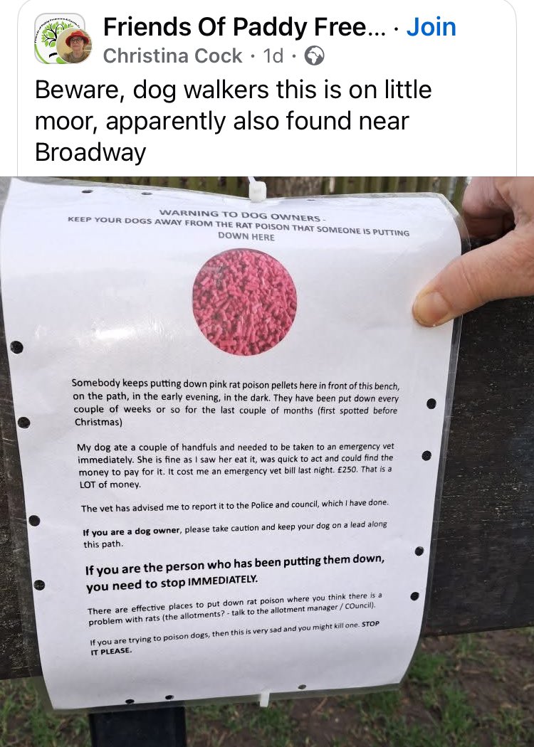 OneJesmond tweet media