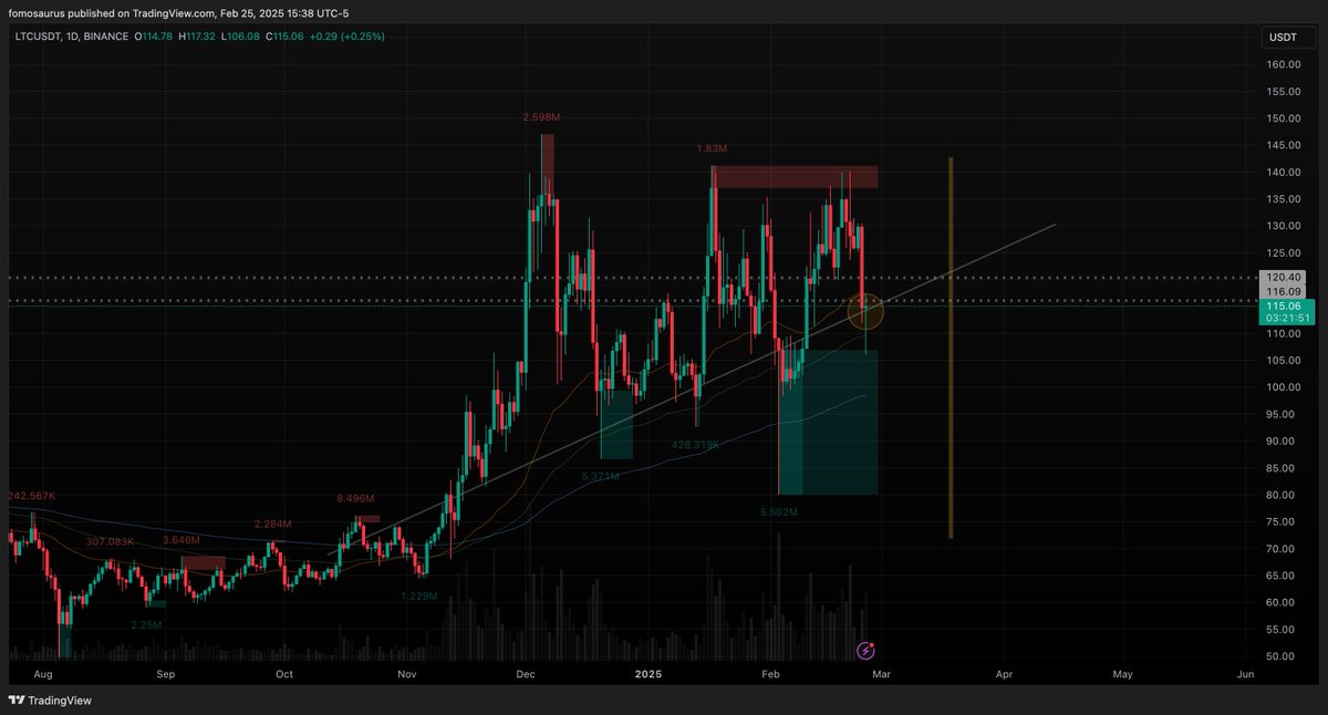 IMO, $LTC is probably the best OG coin for mid-term provided we get a fervent environment for alts to breathe.

10B MC, PoW, Silver to Gold, with ETFs on the horizon.

Held the trend line remarkably well during the BTC dumps and was par for par for relative strength.

Daily
